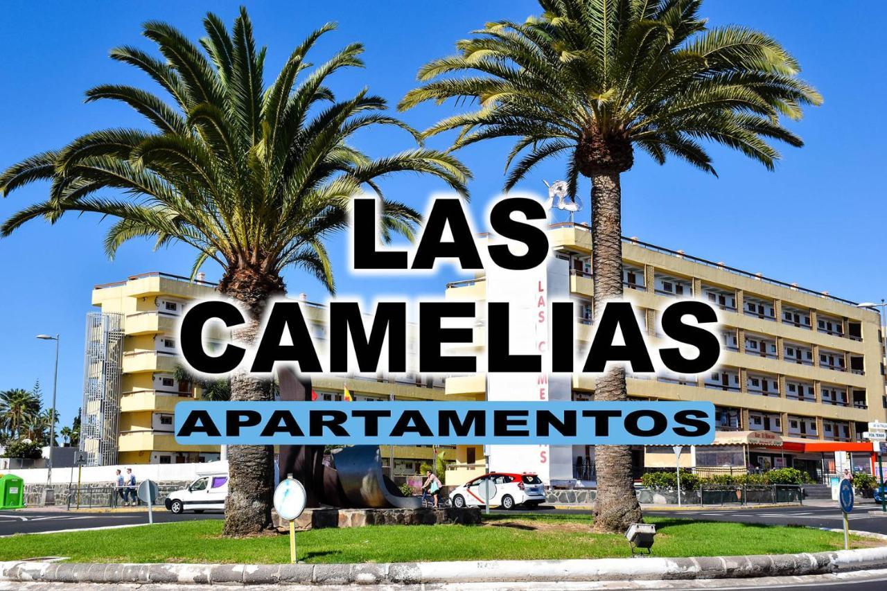 Camelias Lejlighedshotel *
